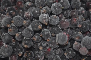 Frozen blackcurrants - a taste of summer 